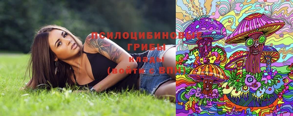 альфа пвп Дмитриев