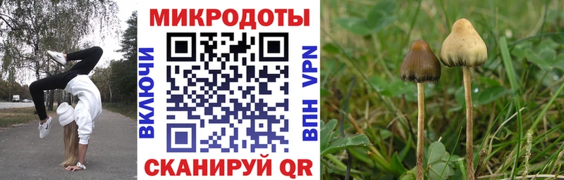 Купить закладки  Михайловск  Галлюциногенные грибы ЛСД 